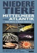 Niedere Tiere Mittelmeer + Atlantik Self-help