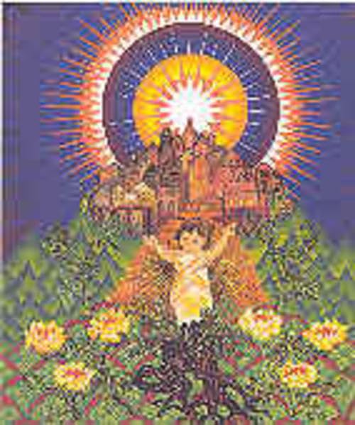 Adventliche Zeichen (Livre en allemand) book