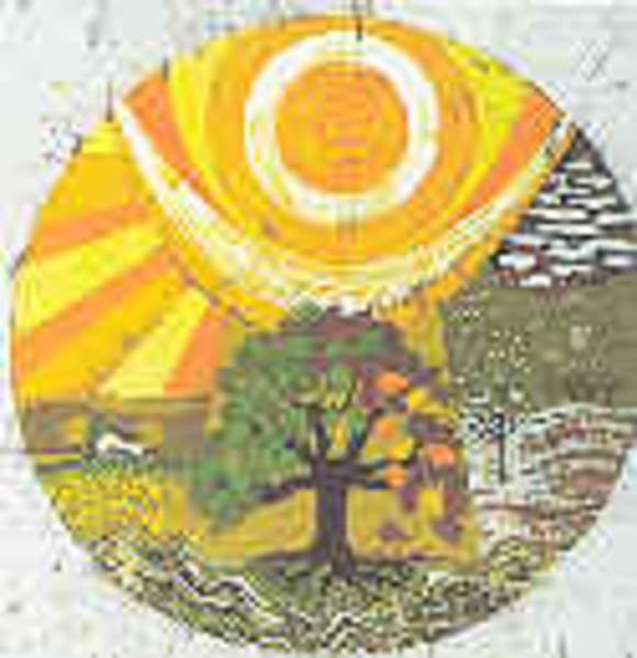 Aus der Stille leben (Religionspaedagogische Praxis: Die Zeitschrift für eine ganzheitliche, sinnorientierten Pädagogik) Education & Training