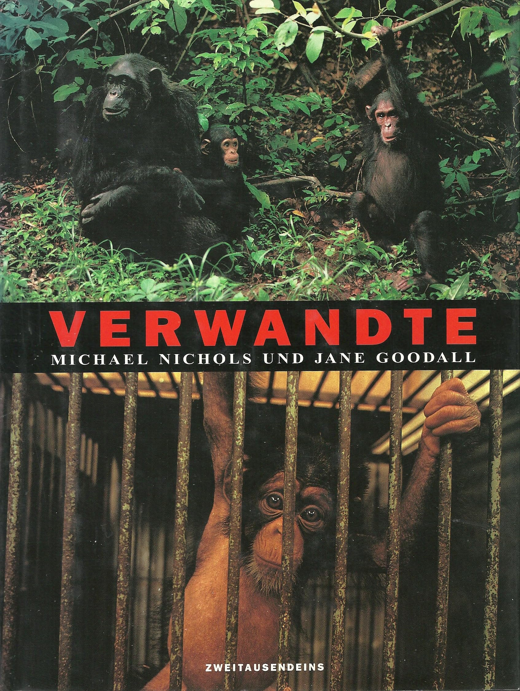 Verwandte: Schimpansen und Menschen Books