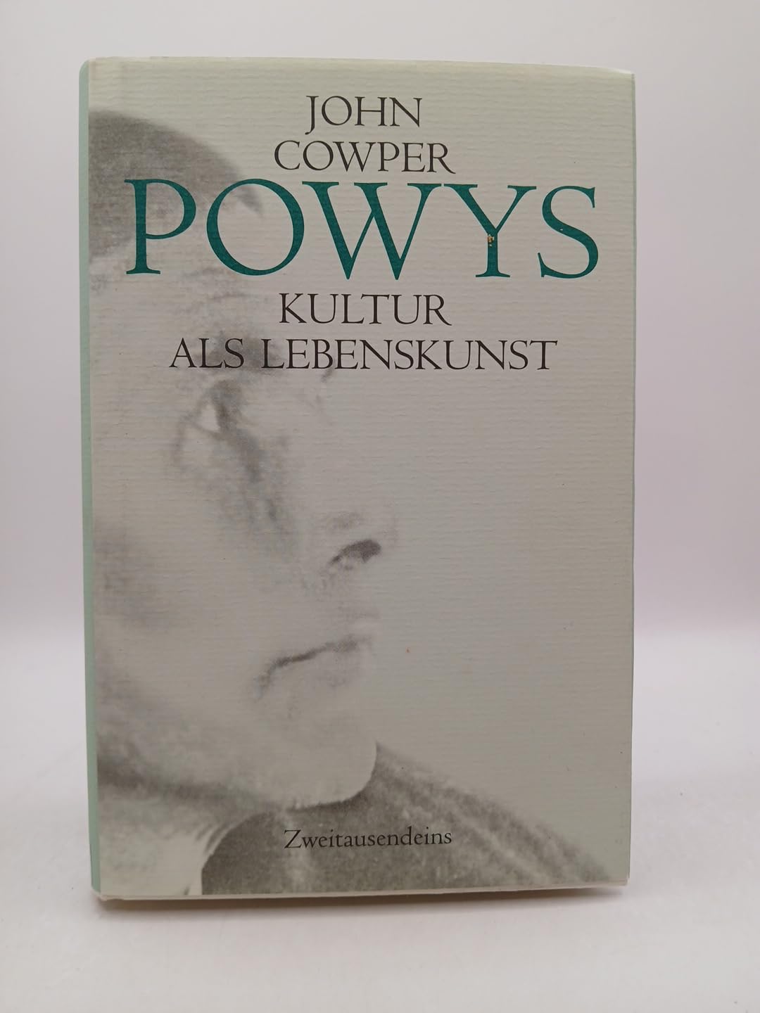 Kultur als Lebenskunst: Das essayistische Werk Philosophy