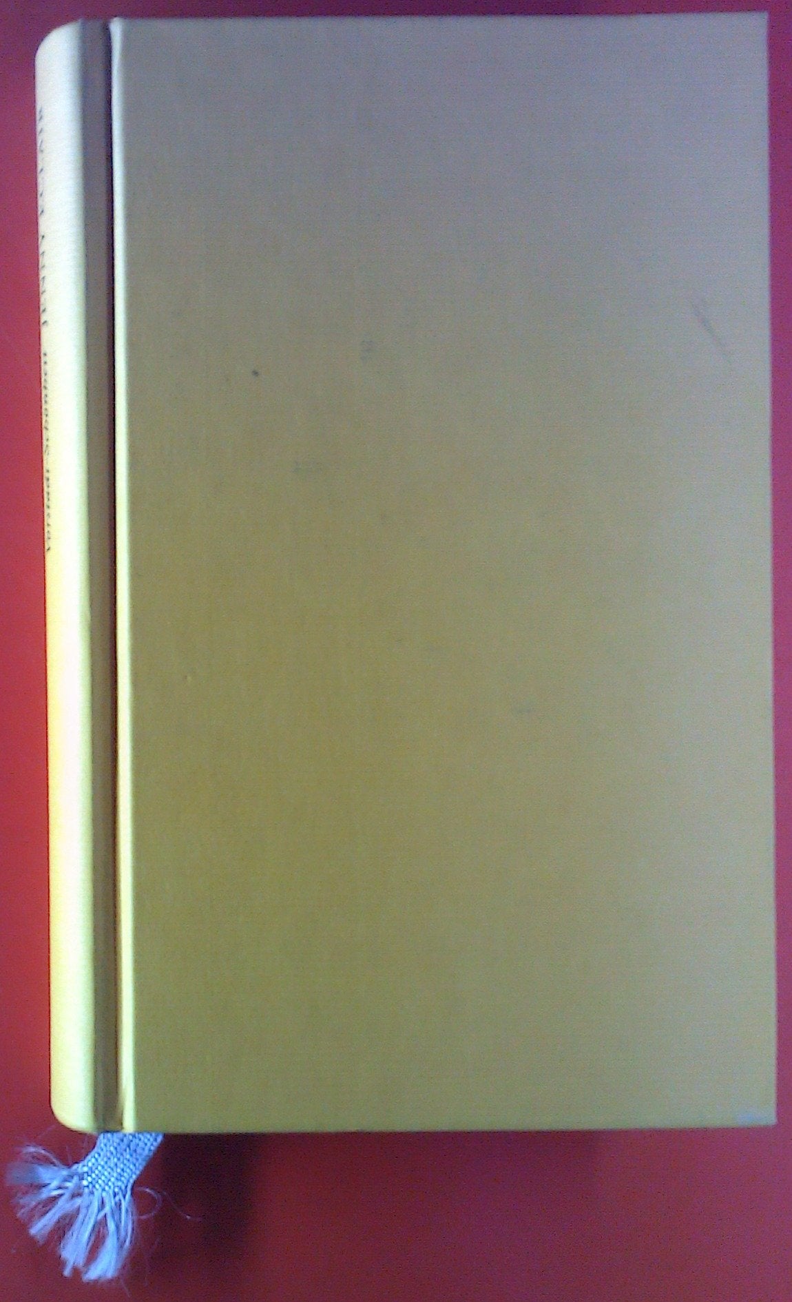Vorstadt-Schönheit: Ein Roman über Leben, Liebe und Vögelei mit dem Klempner (Gerd Haffmans bei Zweitausendeins) Contemporary literature Books