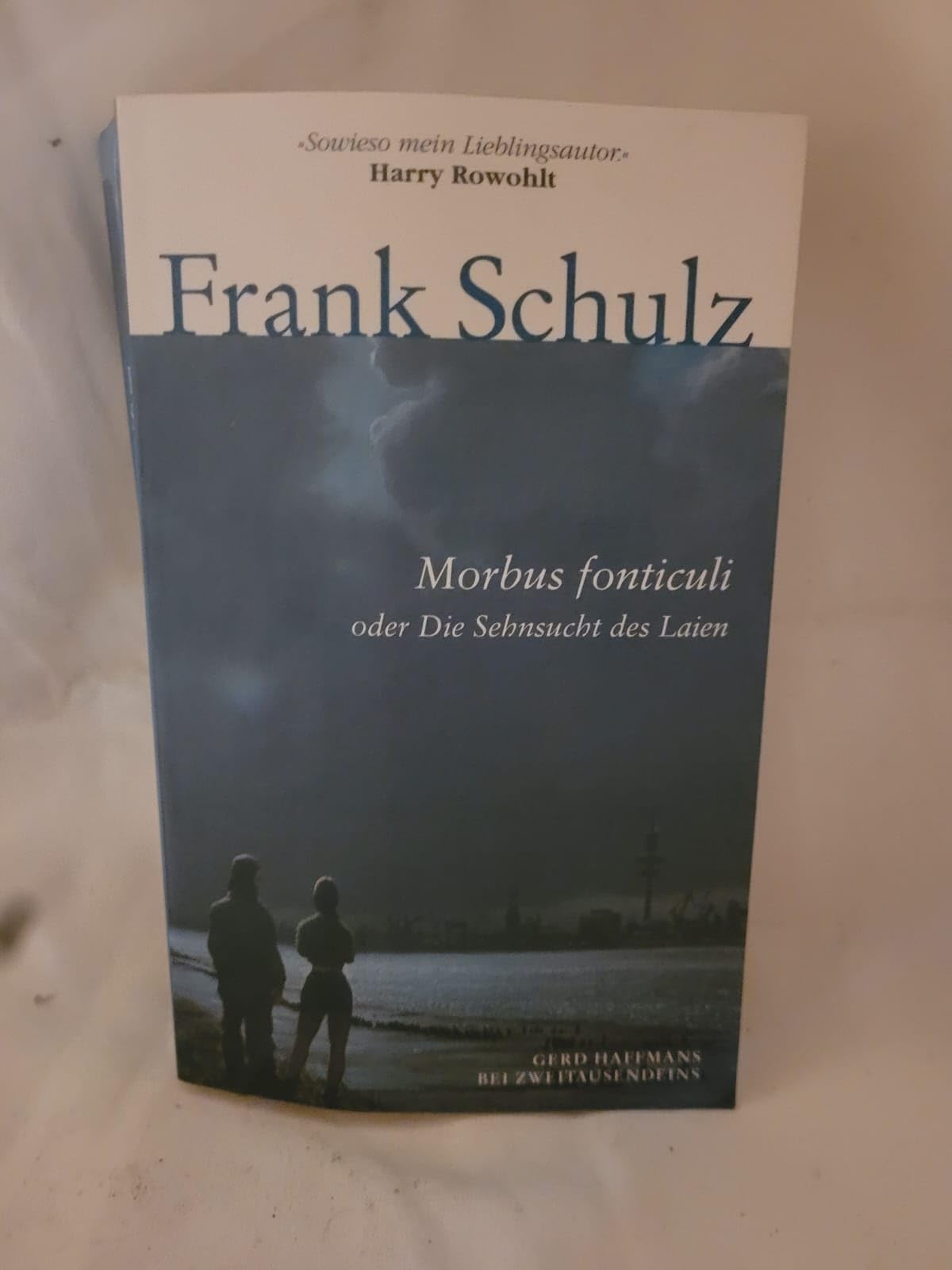 Morbus fonticuli: Oder Die Sehnsucht des Laien. Hagener Trilogie II (Gerd Haffmans bei Zweitausendeins) Contemporary literature