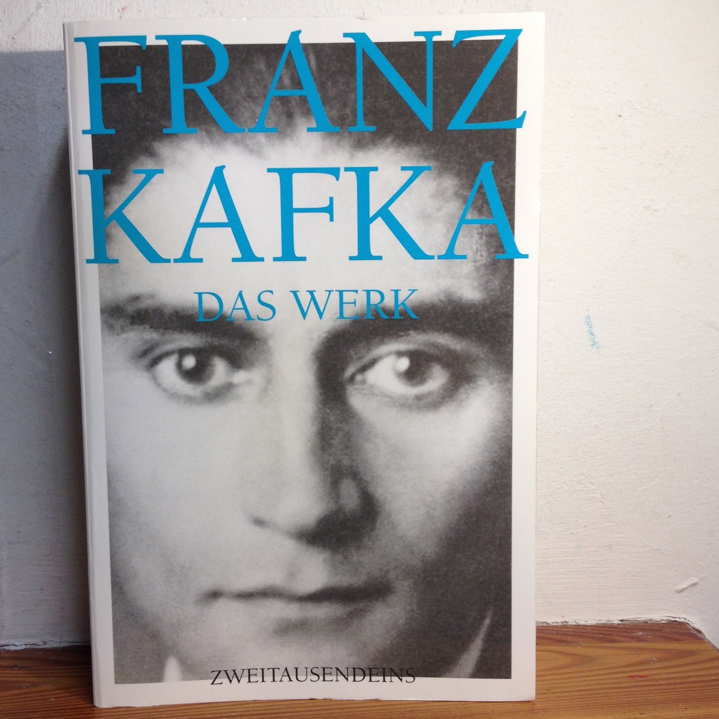 Das Werk: Sämtliche Romane und Erzählungen: Amerika, Der Prozess, Das Schloss, Betrachtung, Ein Landarzt - kleine Erzählungen, Ein Hungerkünstler - ... u.v.m. (Zweitausendeins Klassikeredition) Classics