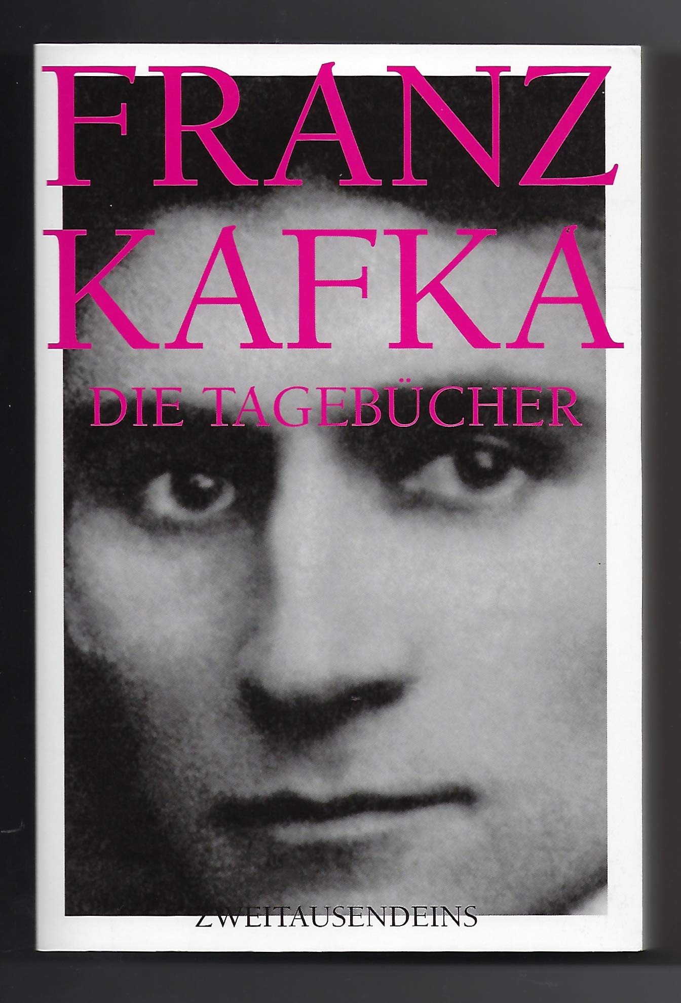 Die Tagebücher Contemporary literature Books
