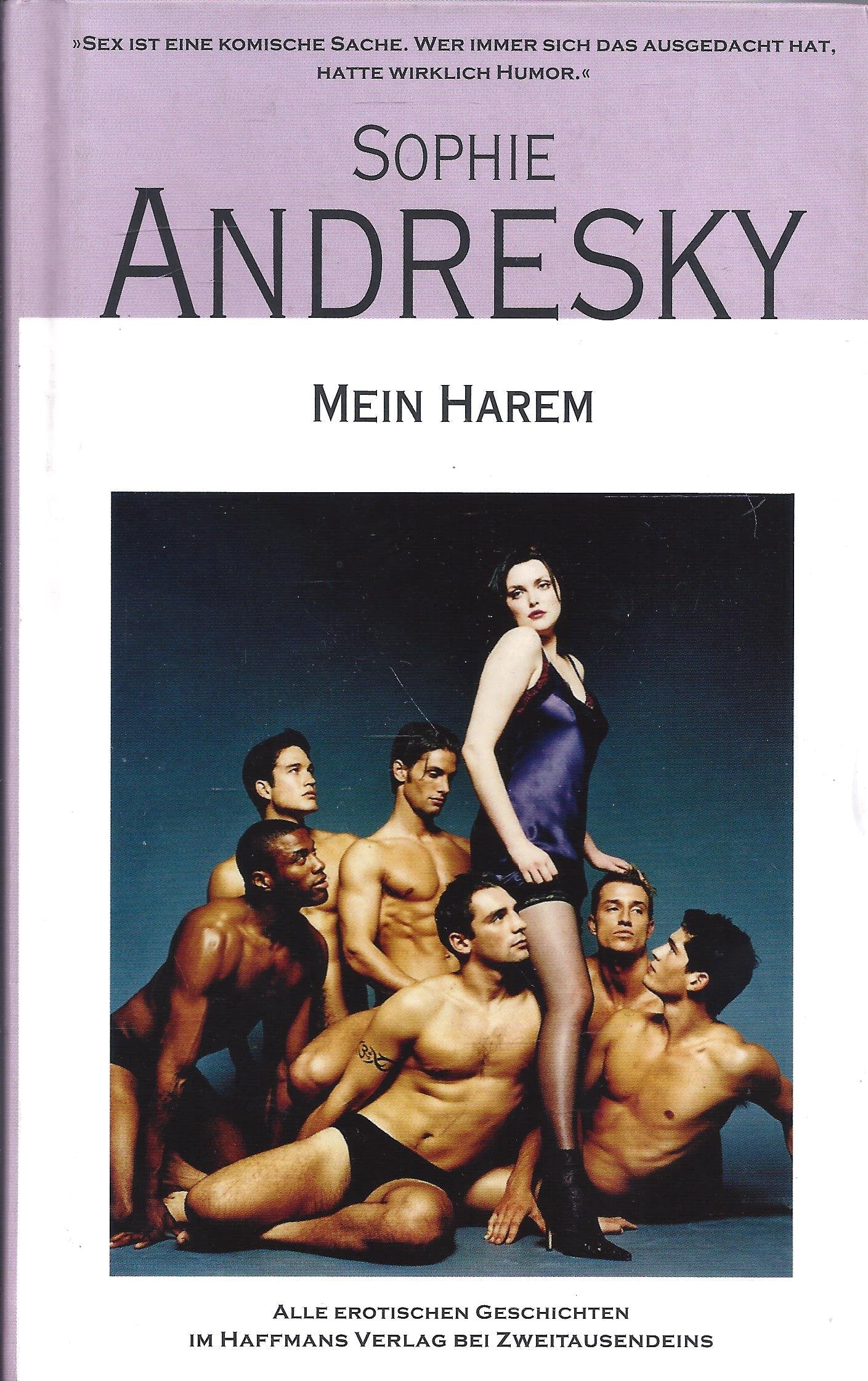 Mein Harem: Alle erotischen Geschichten aus 5 Bänden: Das Lächeln der Pauline /In der Höhle der Löwin /Feucht /Tiefer /Honigmund (Gerd Haffmans bei Zweitausendeins) Contemporary literature Books