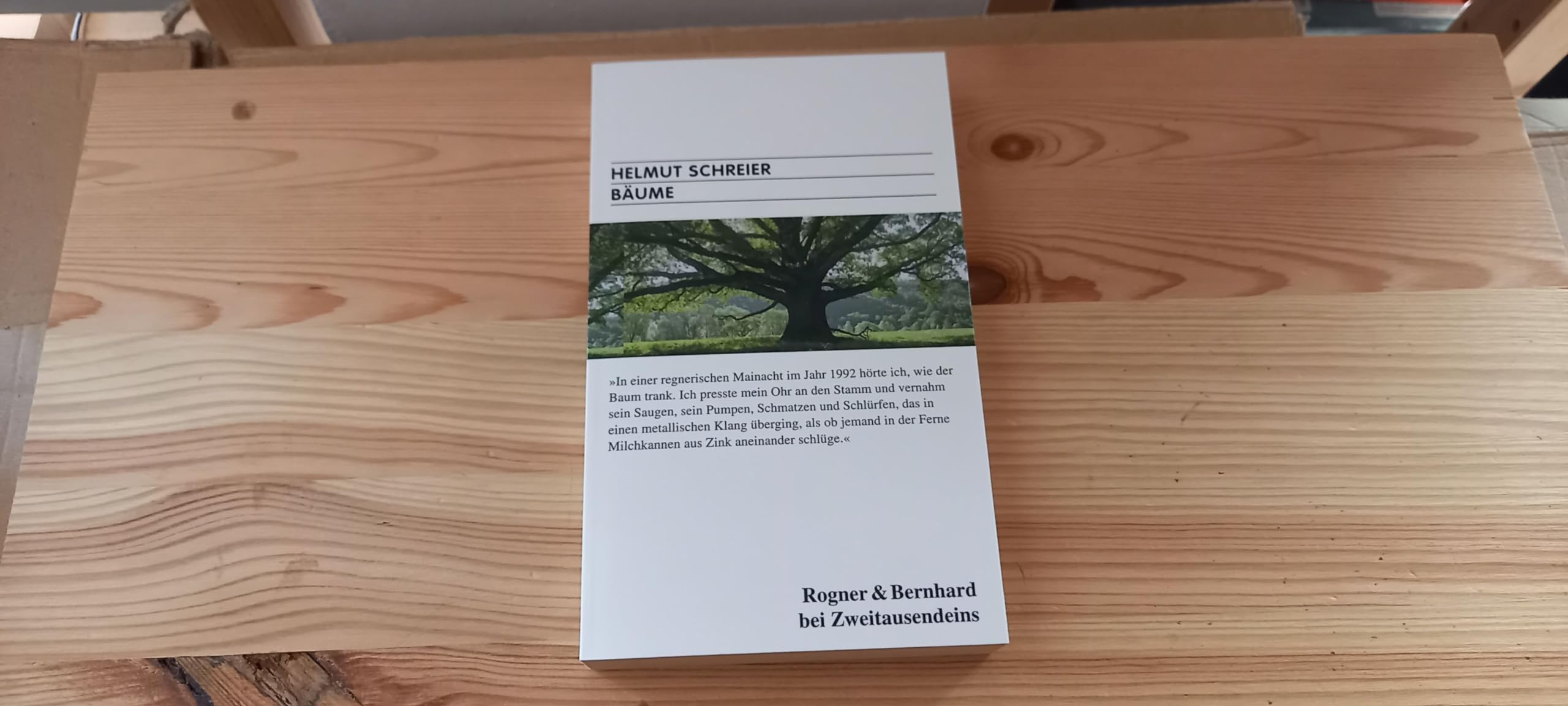 Bäume.: Begegnung mit einem der ältesten Lebewesen der Erde. Leisure, Home & Garden