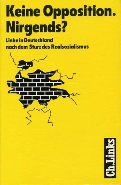 Keine Opposition. Nirgends?: Linke in Deutschland nach dem Sturz des Realsozialismus Books