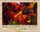 Wie schön ist deine Liebe Partnership & Love