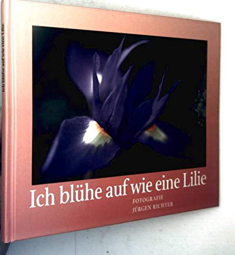 Ich blühe auf wie eine Lilie: Was bewegt mich, wenn ich glaube Living & Furnishing