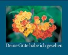 Deine Güte habe ich gesehen. Was das Alter mit sich bringt Politics & History