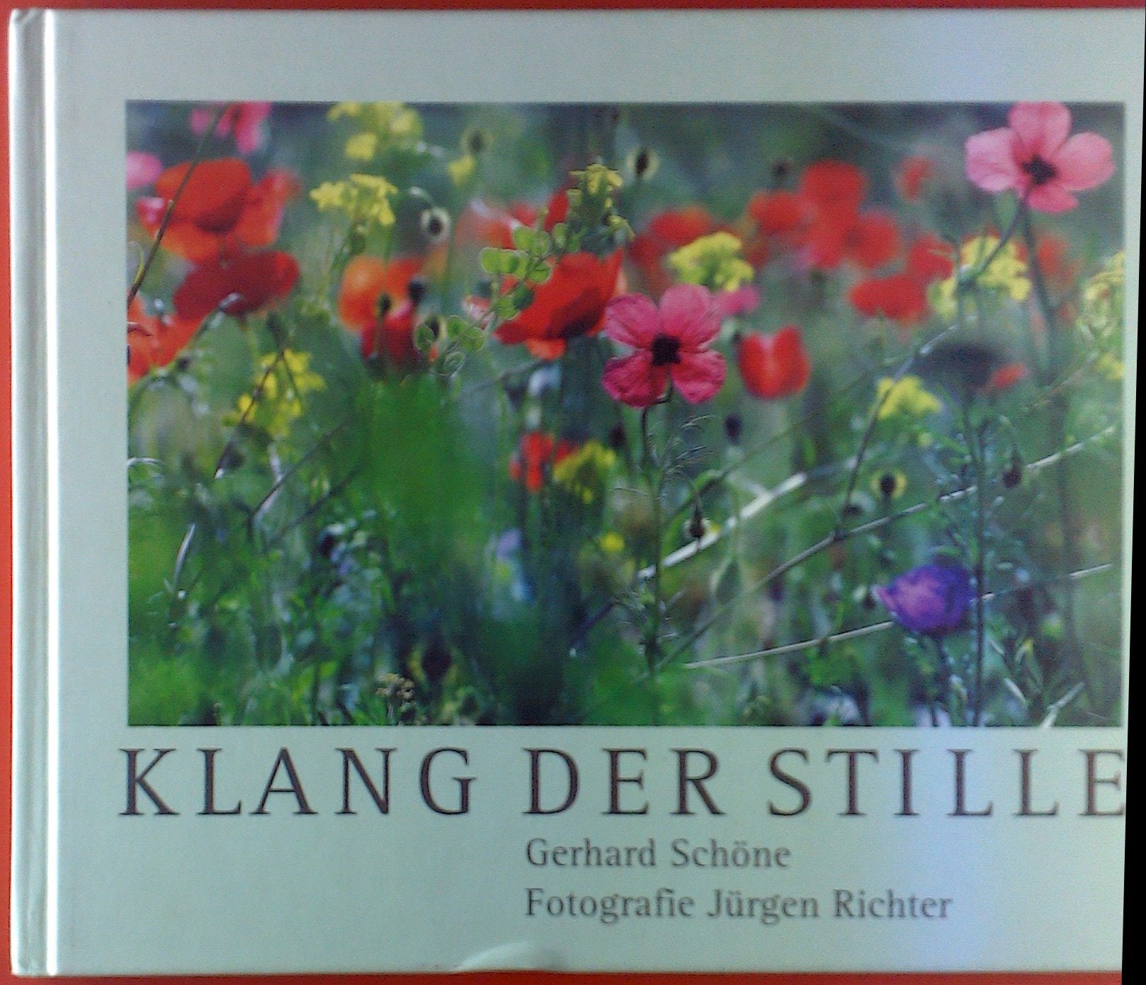 Klang der Stille: 17 Liedtexte Fiction Books