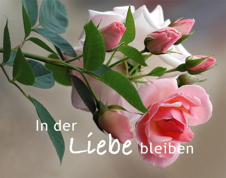 Product Image: In der Liebe bleiben