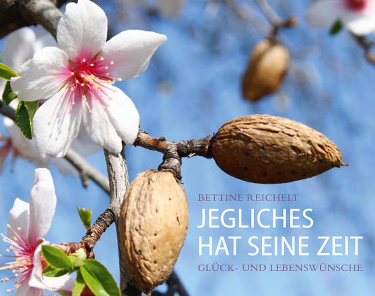 Jegliches hat seine Zeit: Glück- und Lebenswünsche Religion & Esotericism