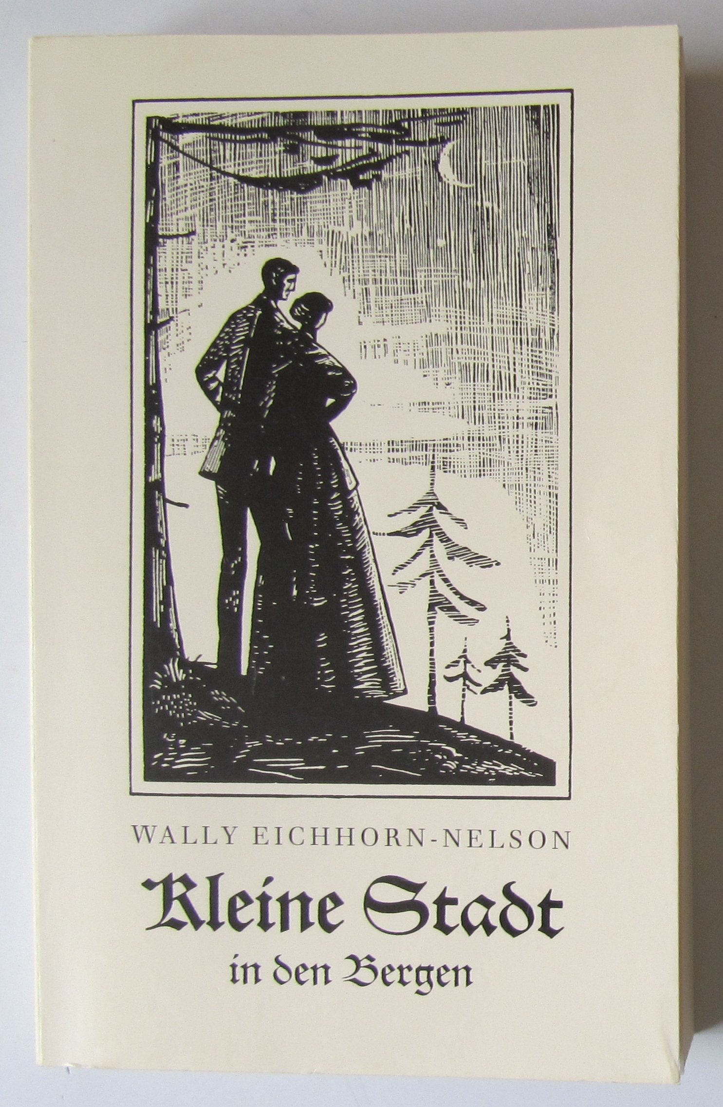 KLEINE STADT IN DEN BERGEN. Roman (ISBN: 3861780194) Books