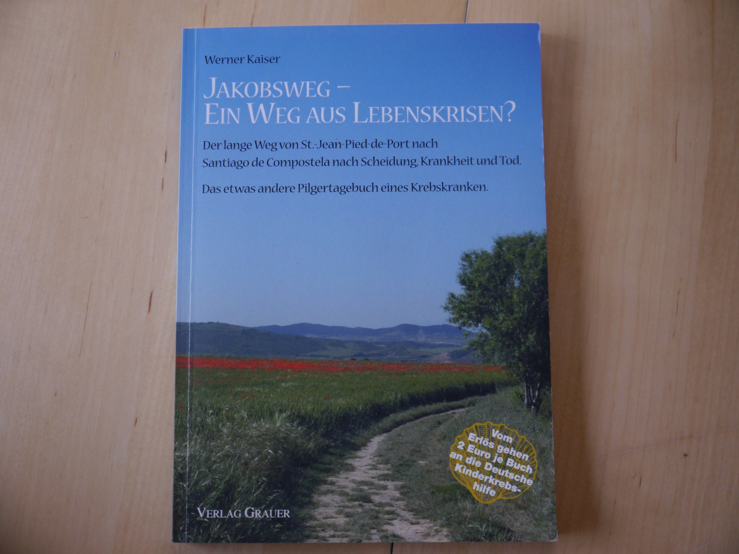Jakobsweg - Ein Weg aus Lebenskrisen?: Das etwas andere Pilgertagebuch eines Krebskranken Leisure, Home & Garden