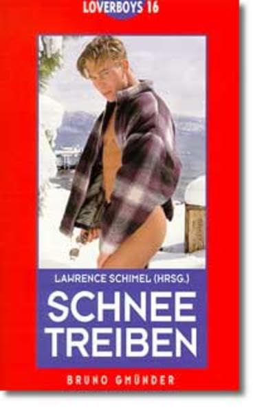 Schneetreiben (Loverboys, Band 16) LGBTQ+