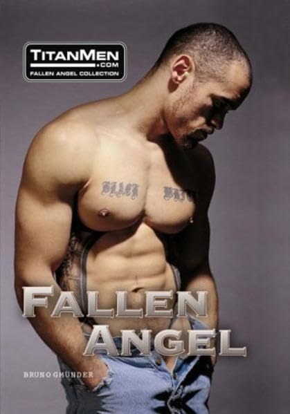 Fallen Angel: Titanmen .Com Fallen Angel Collection book