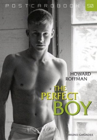 The Perfect Boys: Postcardbook 50 Contemporary literature