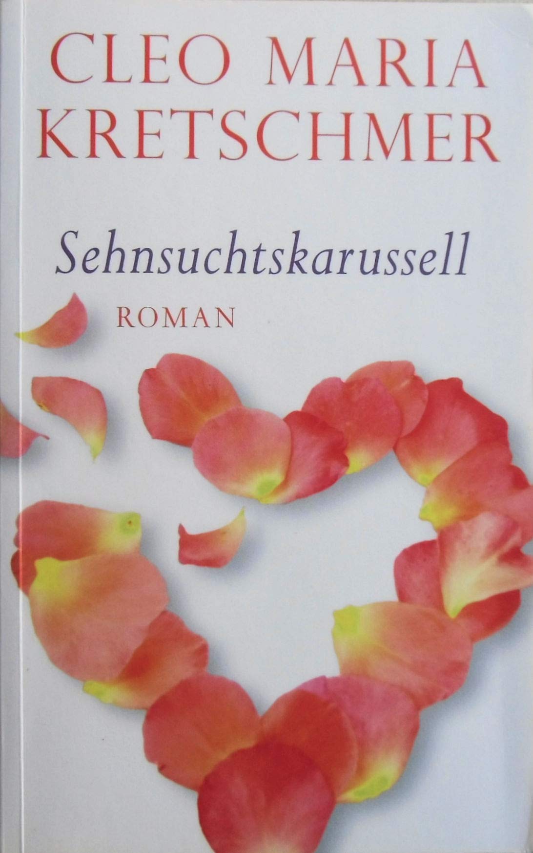 Sehnsuchtskarussell Contemporary literature Books