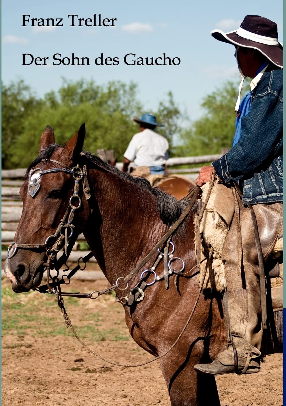 Der Sohn des Gaucho: Auf dem Parana Contemporary literature