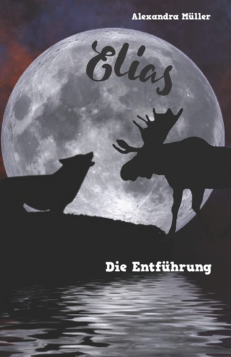 Elias: Die Entführung: Ein Skandinavienkrimi für Kinder Novels & Short Stories