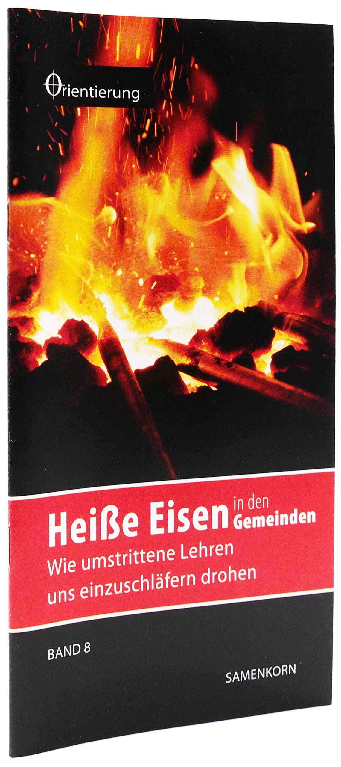 Heiße Eisen in den Gemeinden: Wie umstrittene Lehren uns einzuschläfern deohen (Reihe Orientierung) Religion & Esotericism