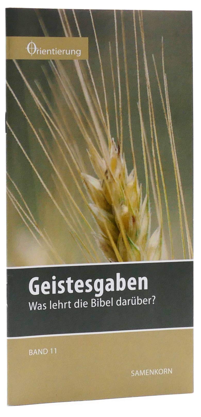 Geistesgaben: Was lehrt die Bibel darüber? (Reihe Orientierung) Religion & Esotericism