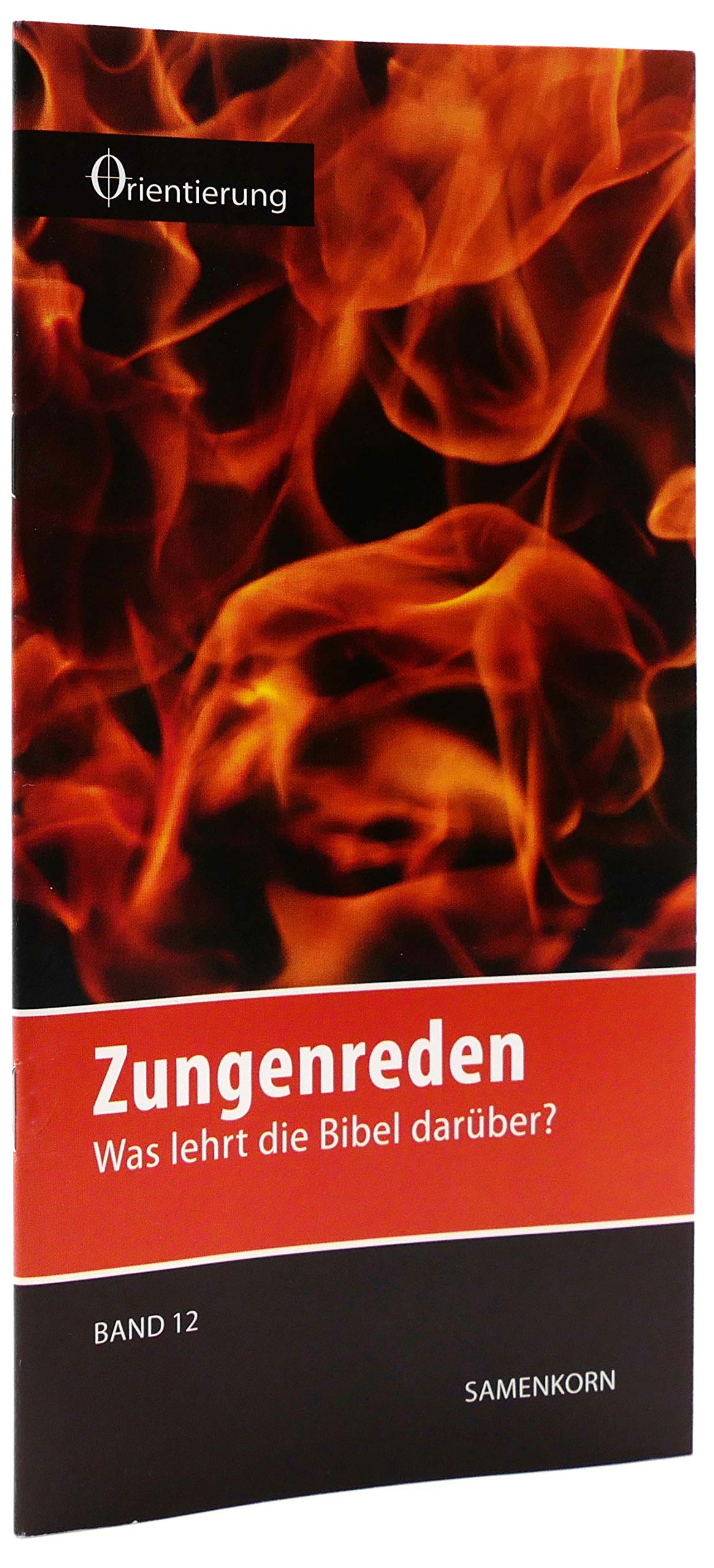 Zungenreden: Was lehrt die Bibel darüber? (Reihe Orientierung) Religion & Esotericism
