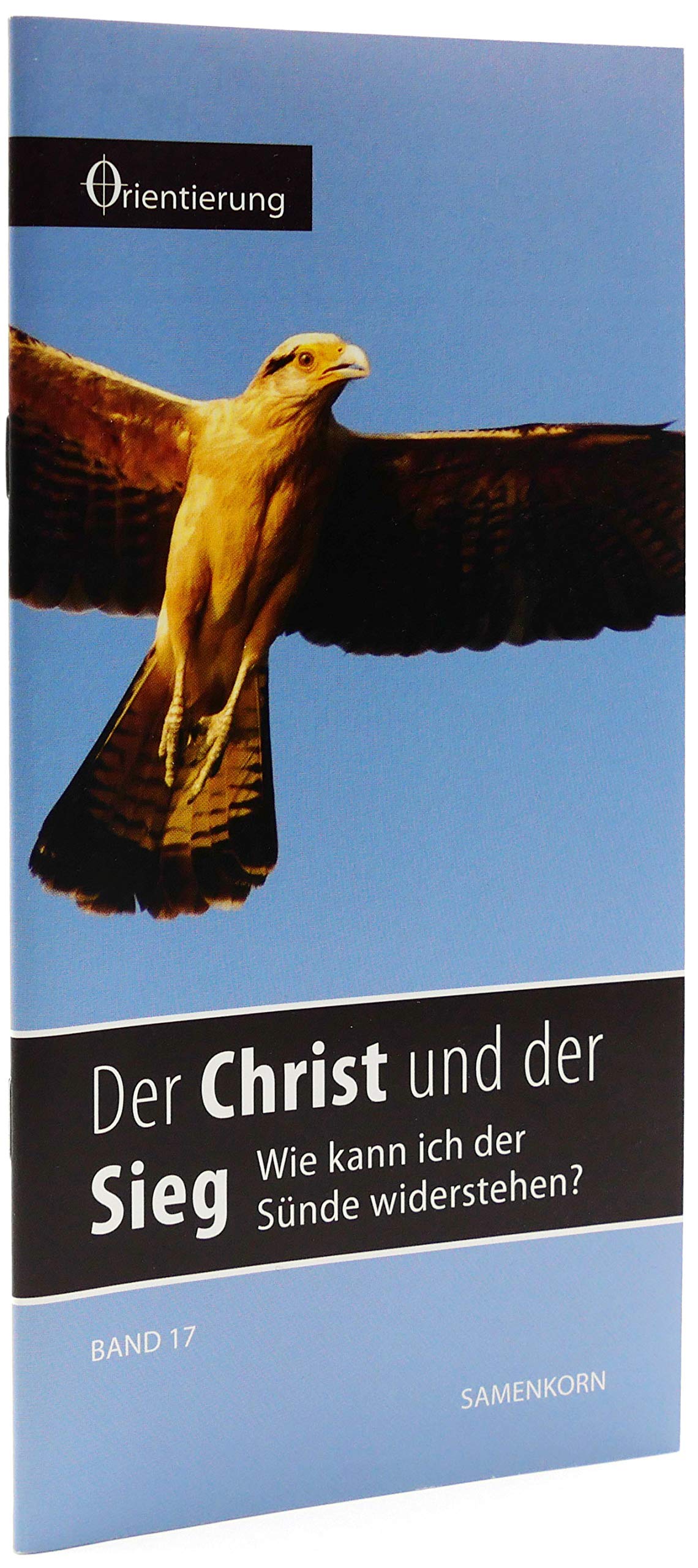 Der Christ und der Sieg: Wie kann ich der Sünde widerstehen? (Reihe Orientierung) Religion & Esotericism