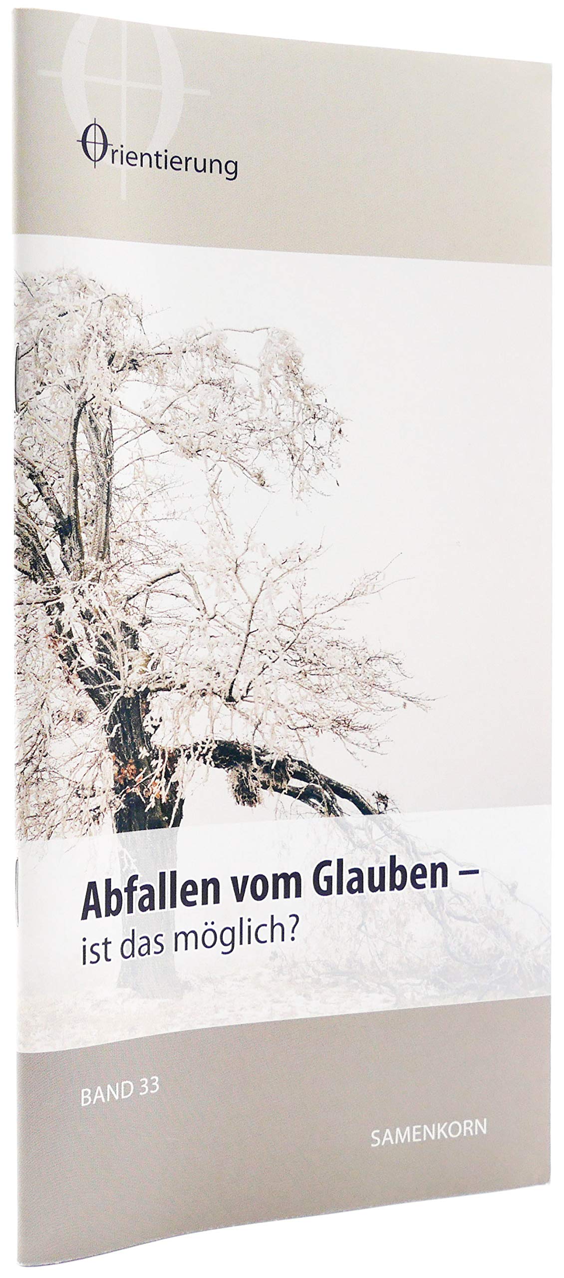 Abfallen vom Glauben: ist das möglich? (Reihe Orientierung) Religion & Esotericism