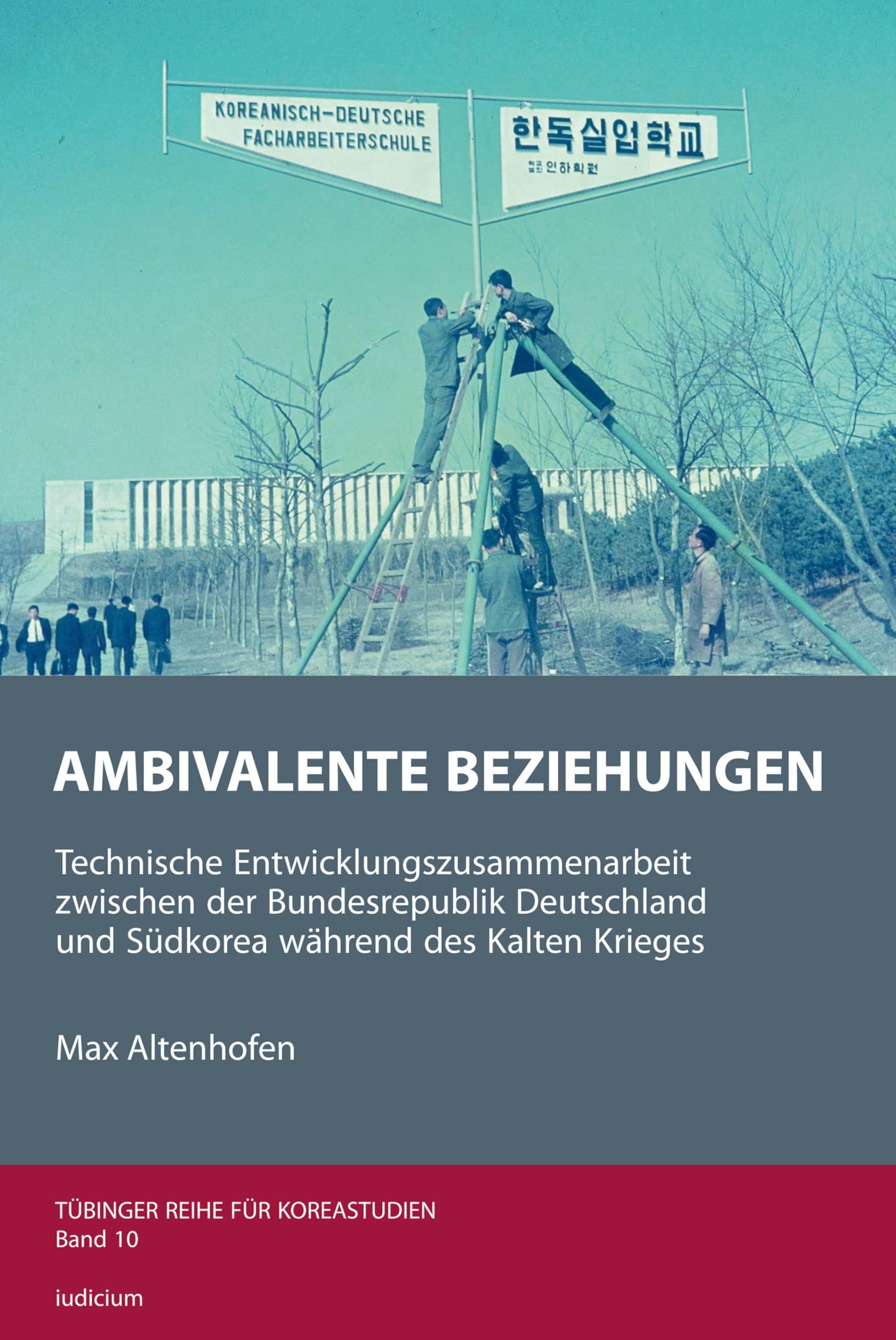 Ambivalente Beziehungen Books