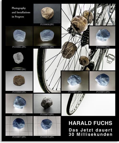 Harald Fuchs: Das Jetzt dauert 30 Millisekunden Film, Art & Culture
