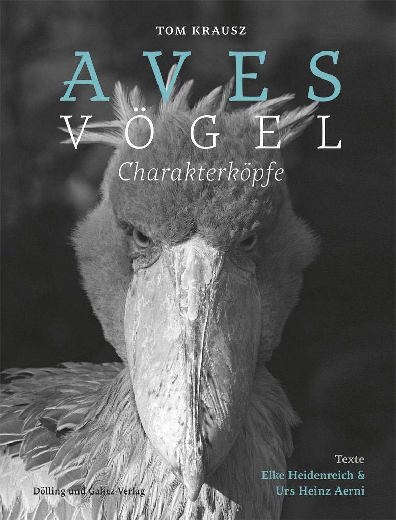 Aves | Vögel. Charakterköpfe Travel