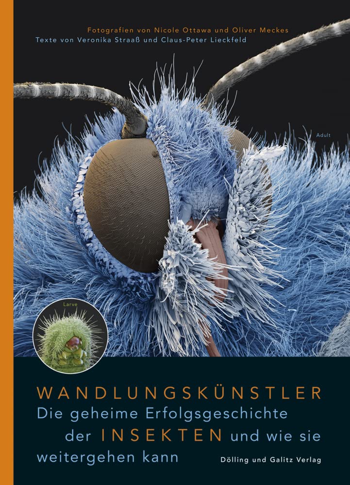 Wandlungskünstler. Die geheime Erfolgsgeschichte der Insekten und wie sie weitergehen kann Photography