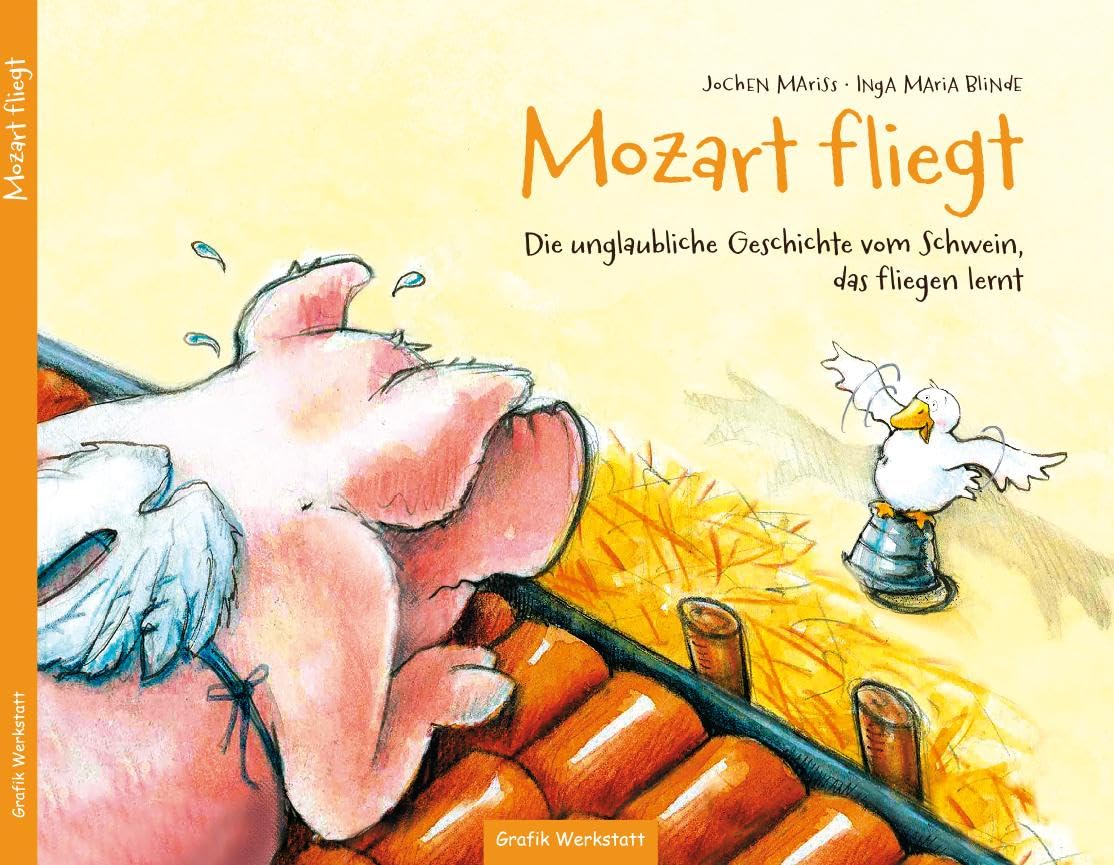 Mozart fliegt Children's books