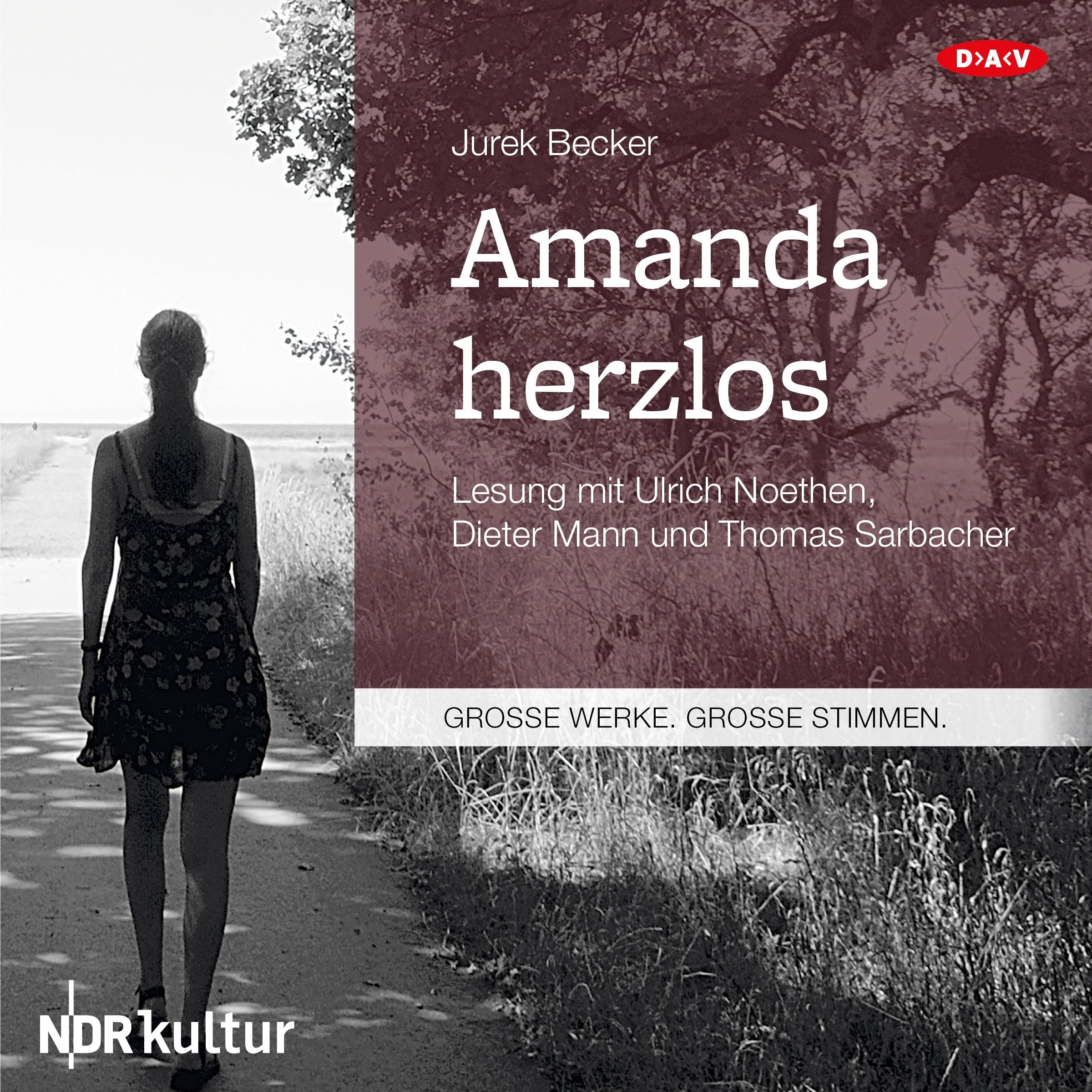 Amanda Herzlos Contemporary literature Books