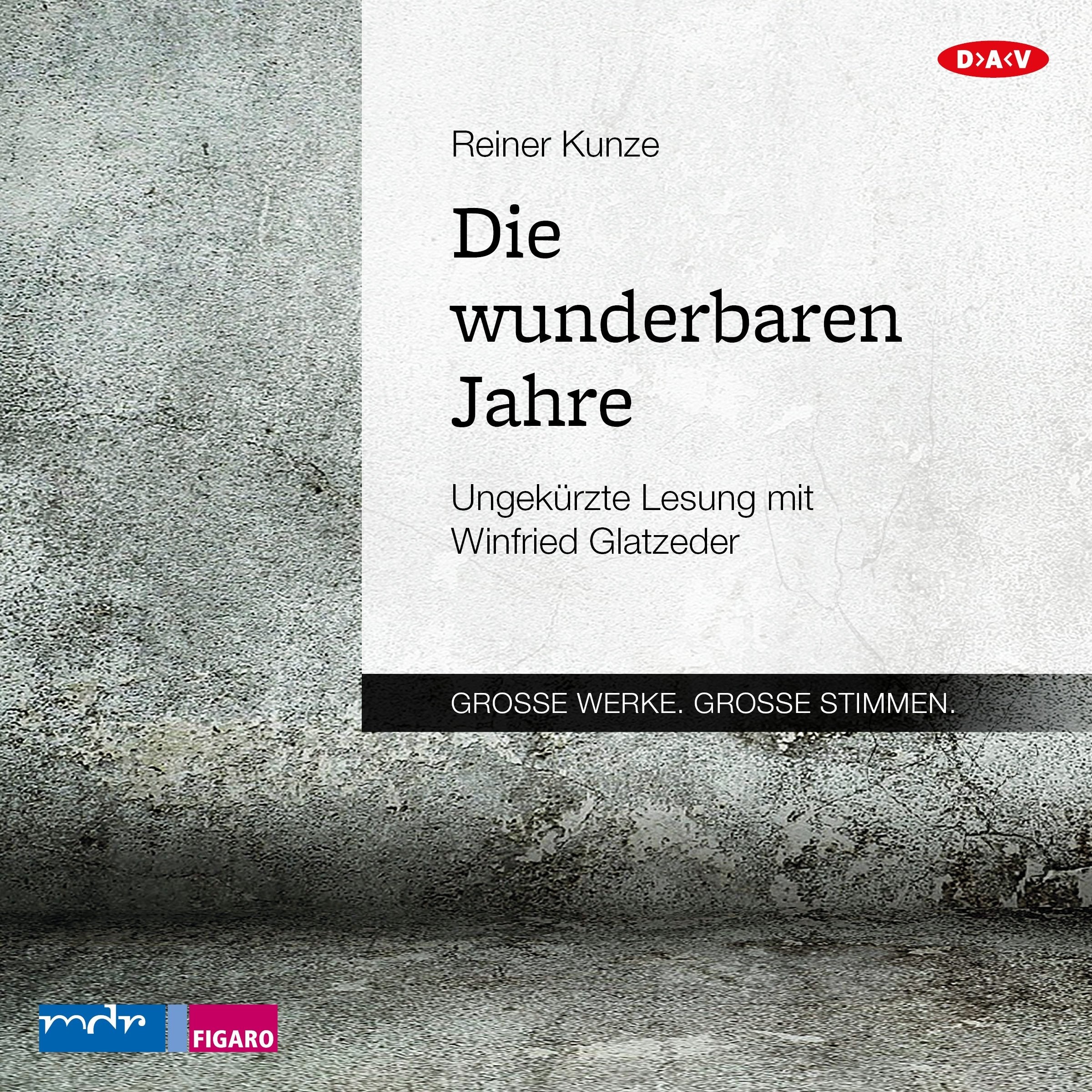 Die wunderbaren Jahre: Ungekürzte Lesung mit Winfried Glatzeder (1 mp3-CD) Contemporary literature