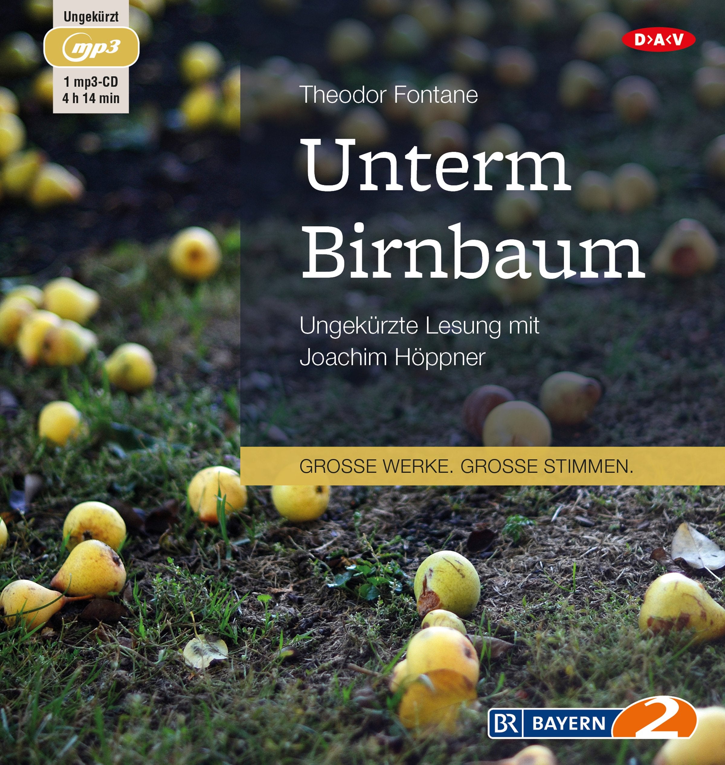 Unterm Birnbaum: Ungekürzte Lesung (1 mp3-CD) Essays & Short Stories