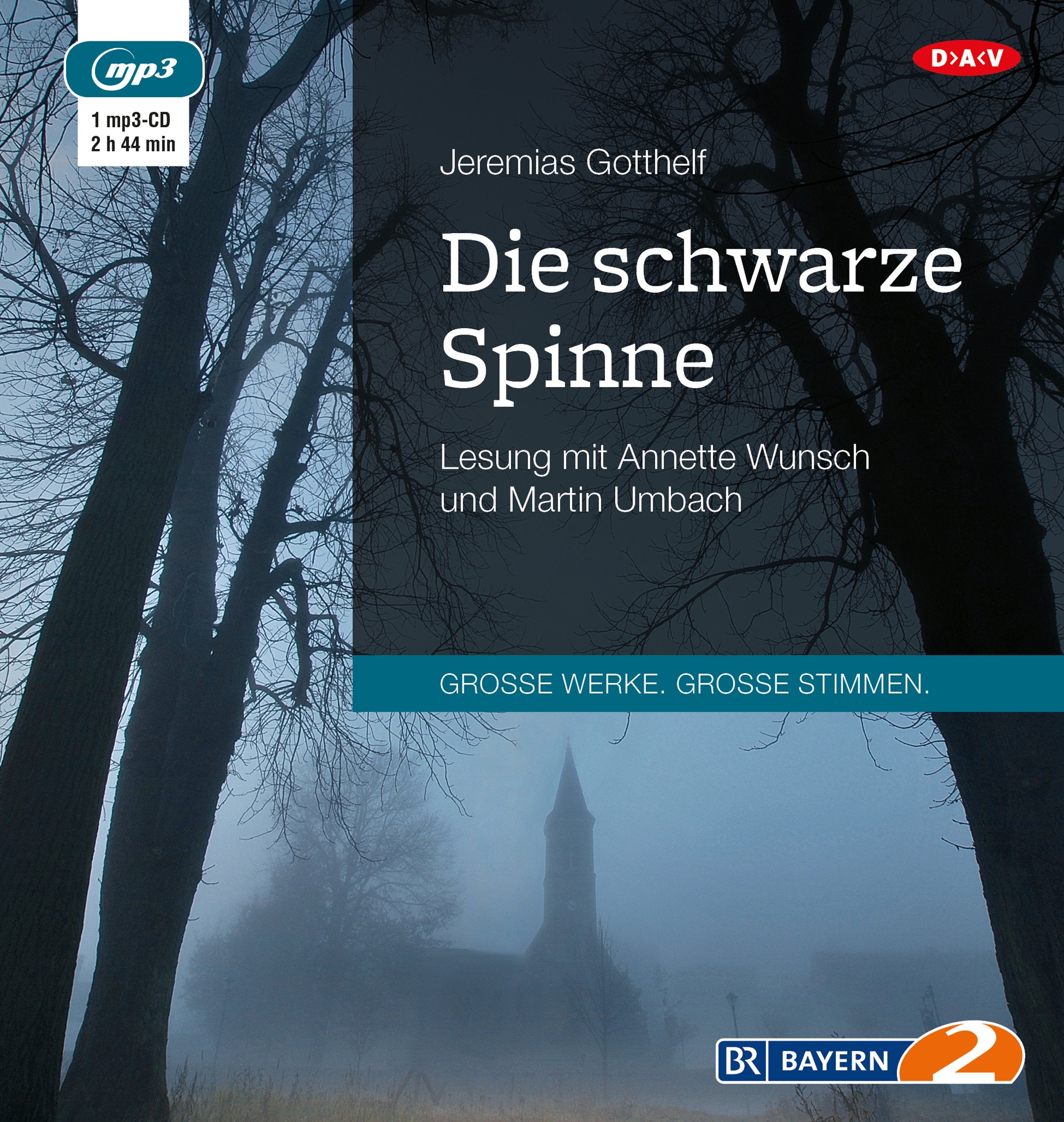 Die schwarze Spinne: Lesung mit Annette Wunsch und Martin Umbach (1 mp3-CD) Classics