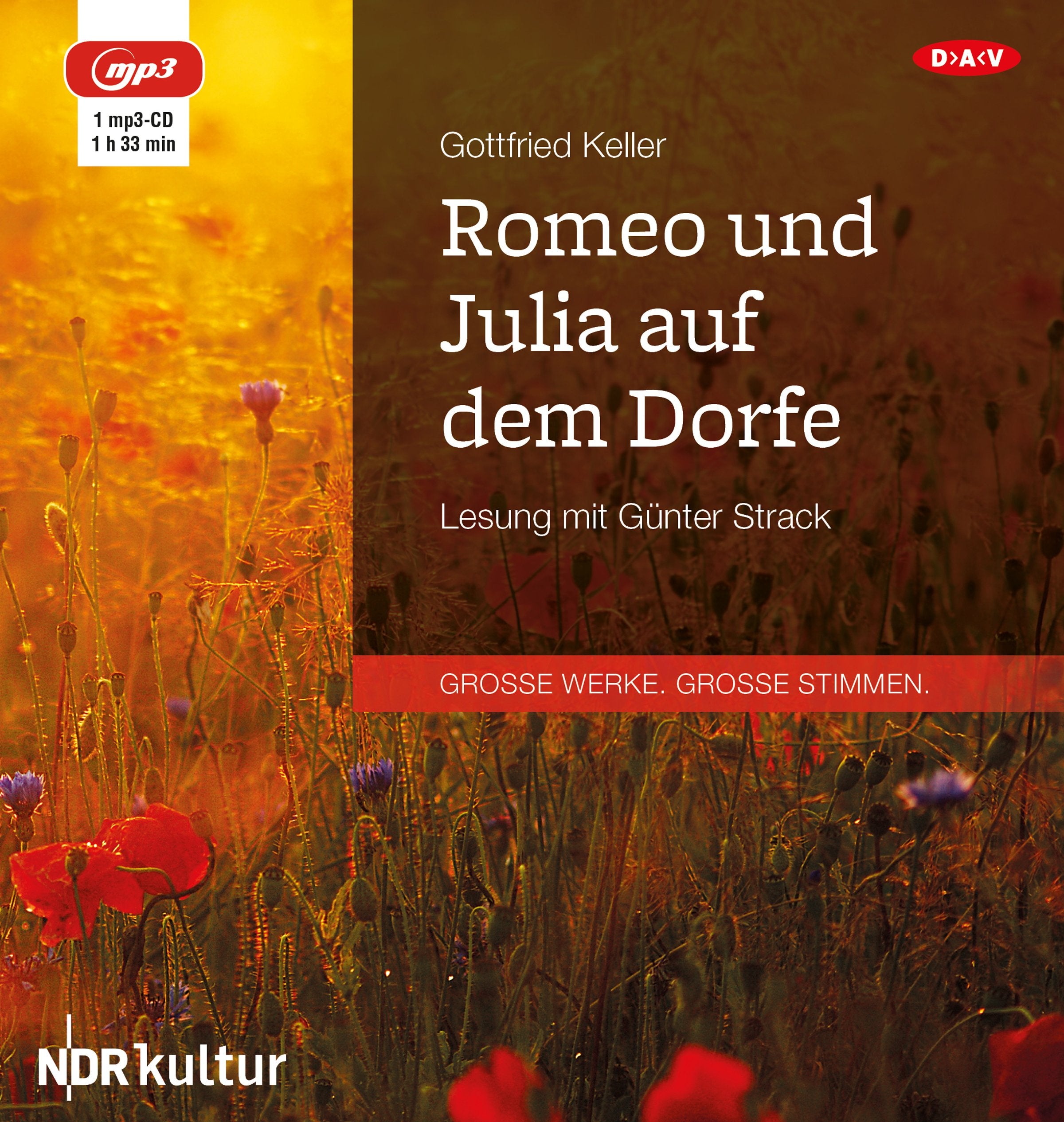 Romeo und Julia auf dem Dorfe: Lesung mit Günter Strack (1 mp3-CD) Essays & Short Stories