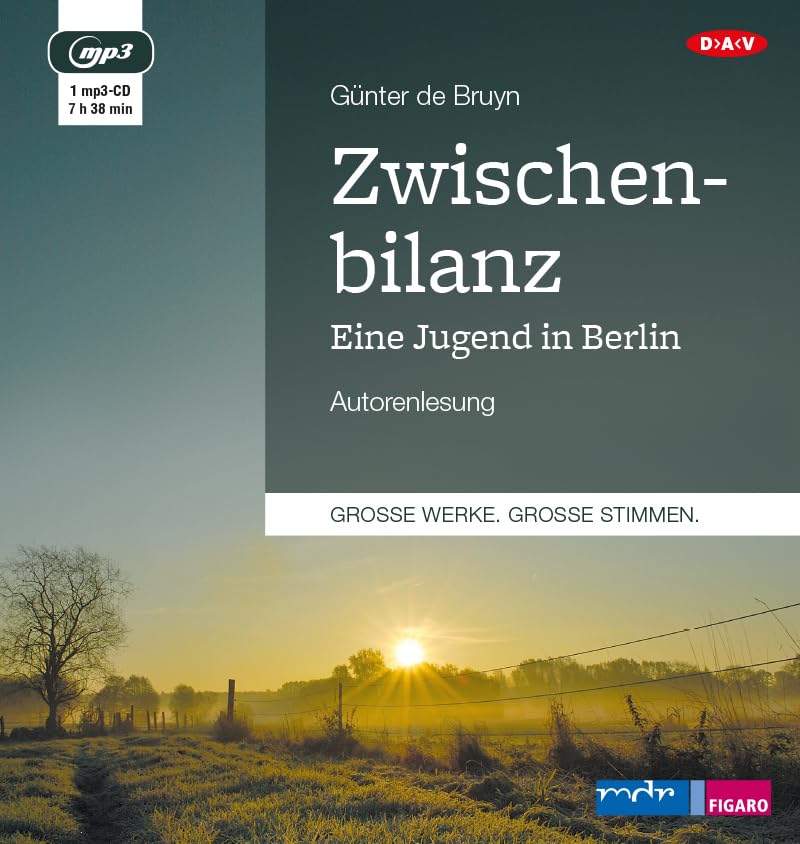 Zwischenbilanz. Eine Jugend in Berlin Contemporary literature
