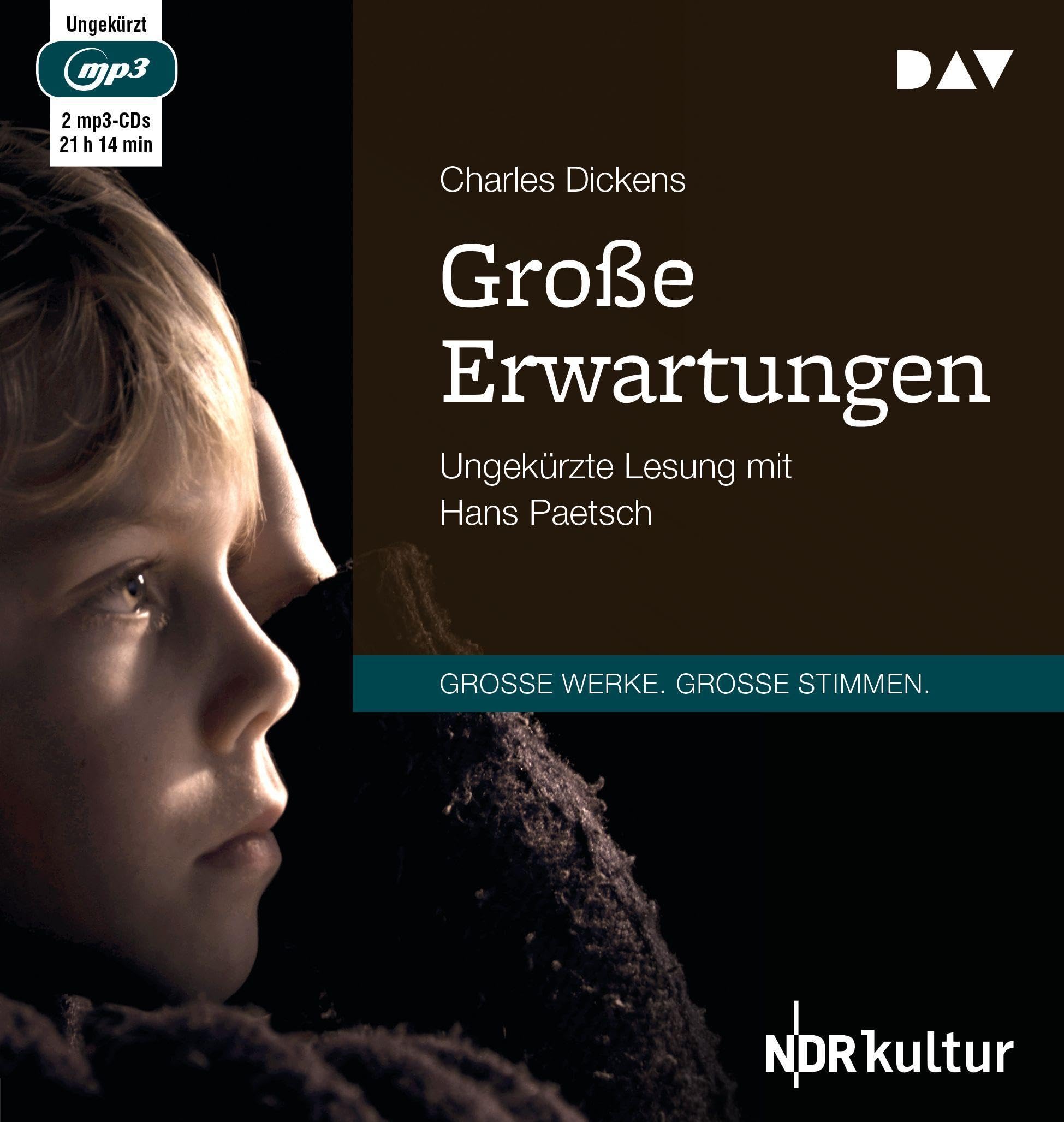 Große Erwartungen: Ungekürzte Lesung mit Hans Paetsch (2 mp3-CDs) Classics