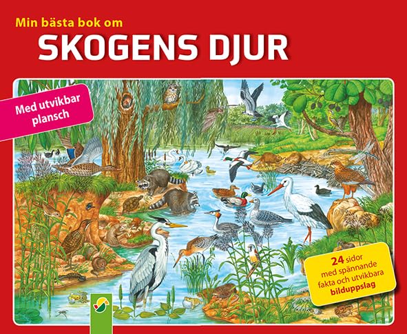 Mein kunterbuntes Buch Tierwelt: 24 Seiten Sachbuch mit Lesebildern plus Panorama zum Aufklappen Children's books