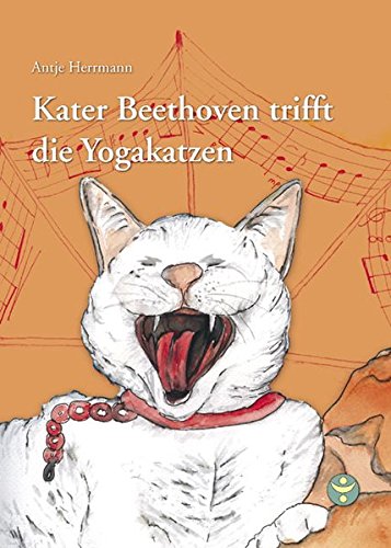 Kater Beethoven trifft die Yogakatzen Lifestyle