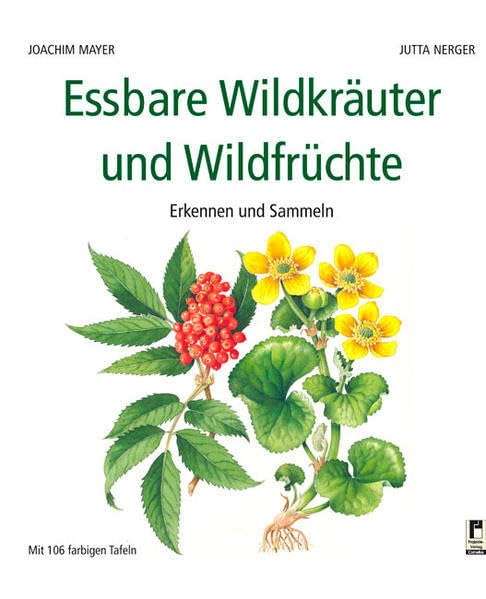 Essbare Wildkräuter und Wildfrüchte: Erkennen und Sammeln Leisure, Home & Garden