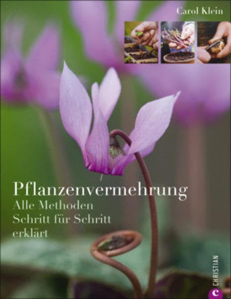 Pflanzenvermehrung: Alle Methoden Schritt für Schritt erklärt Garden & Plants