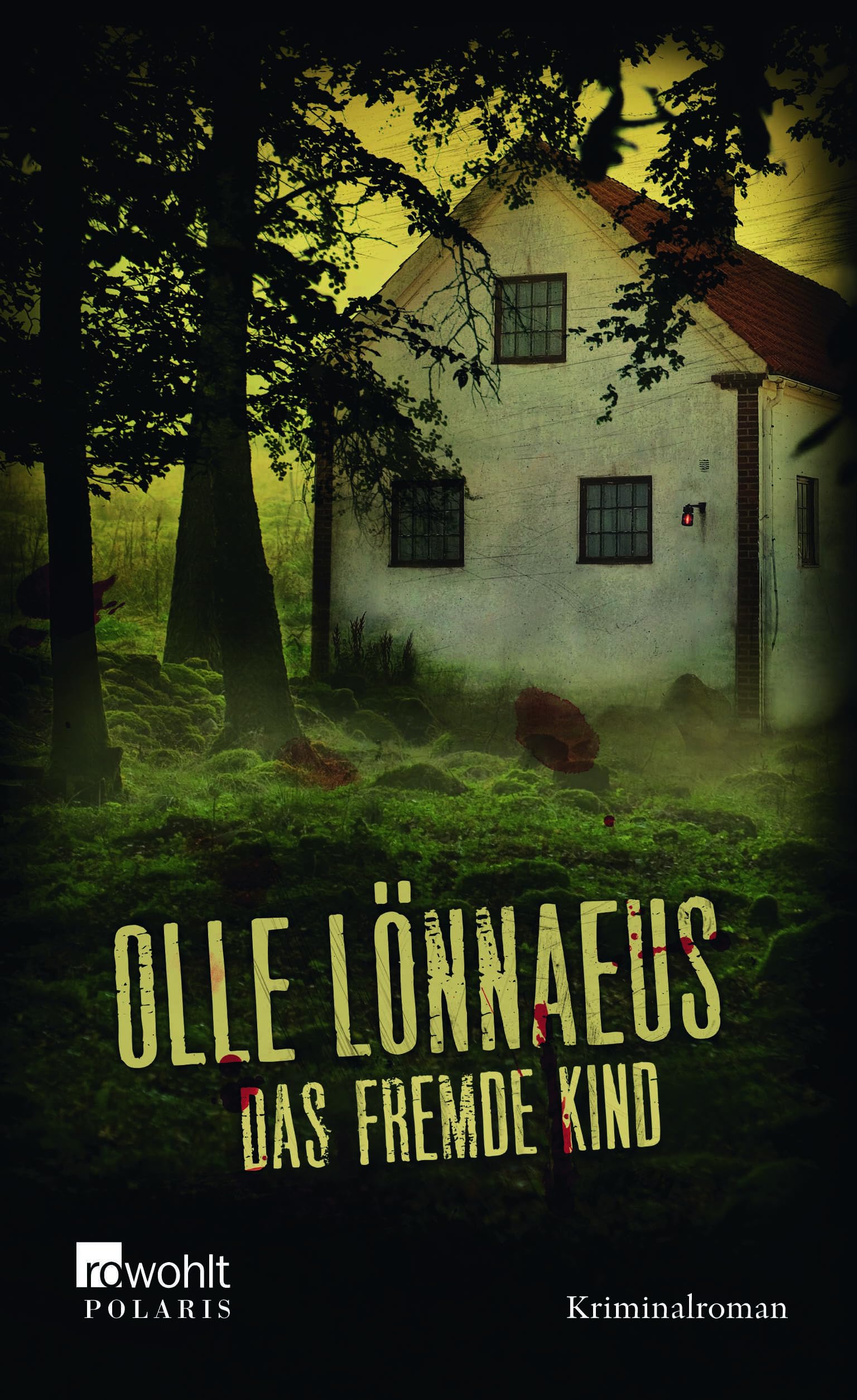 Das fremde Kind: Kriminalroman Contemporary literature