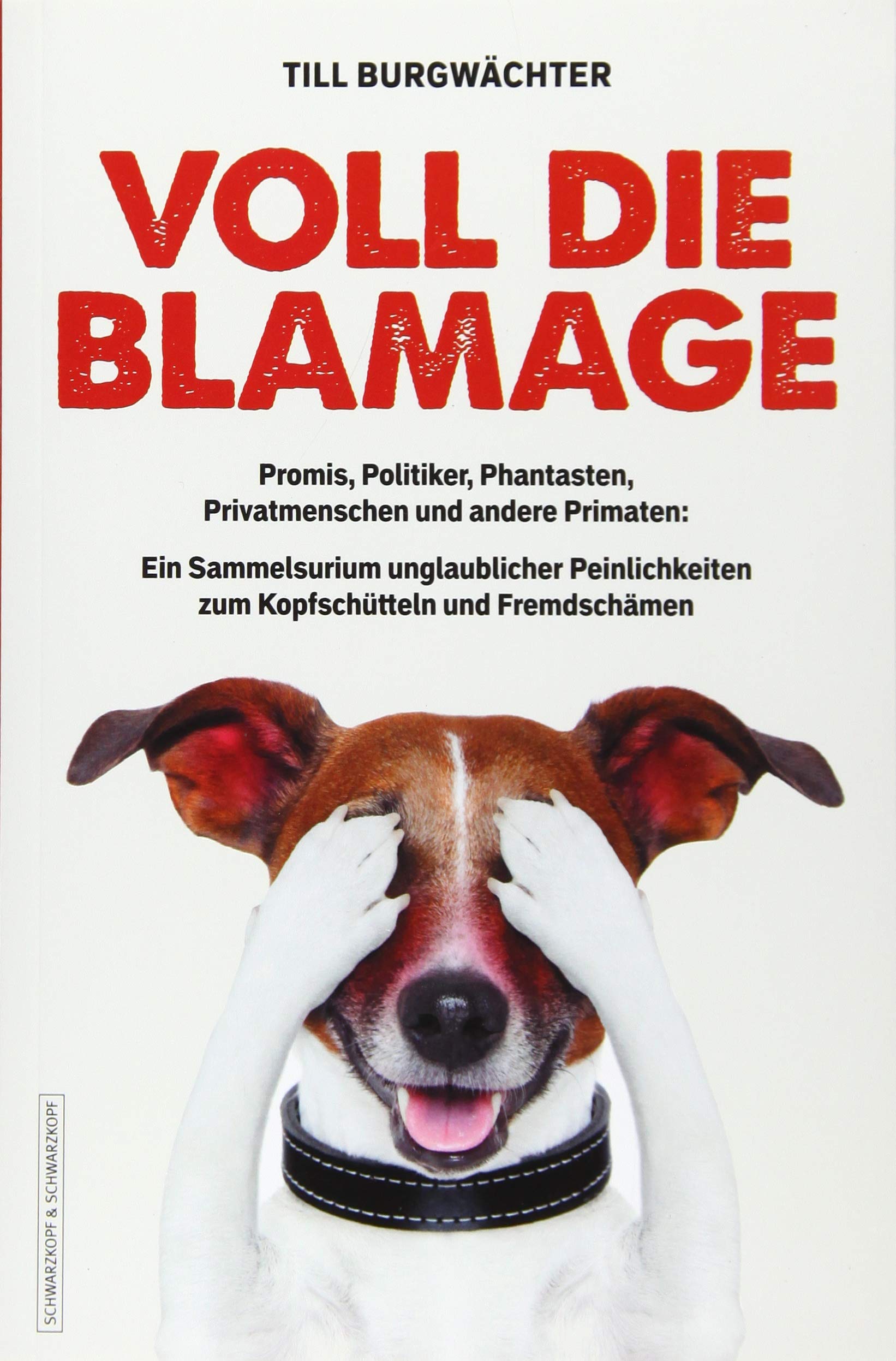 Voll die Blamage Books