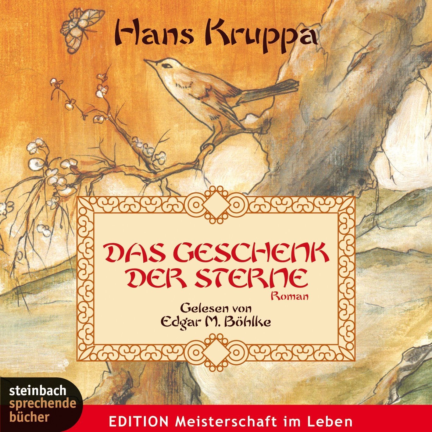 Das Geschenk der Sterne Contemporary literature Books